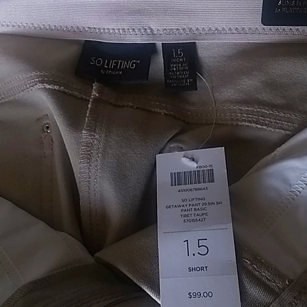 Dress pants